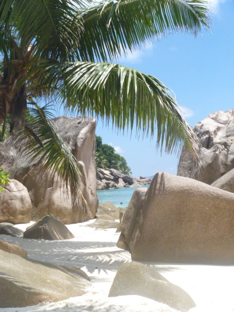 Beach with rocks