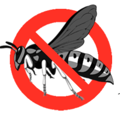 No wasp logo