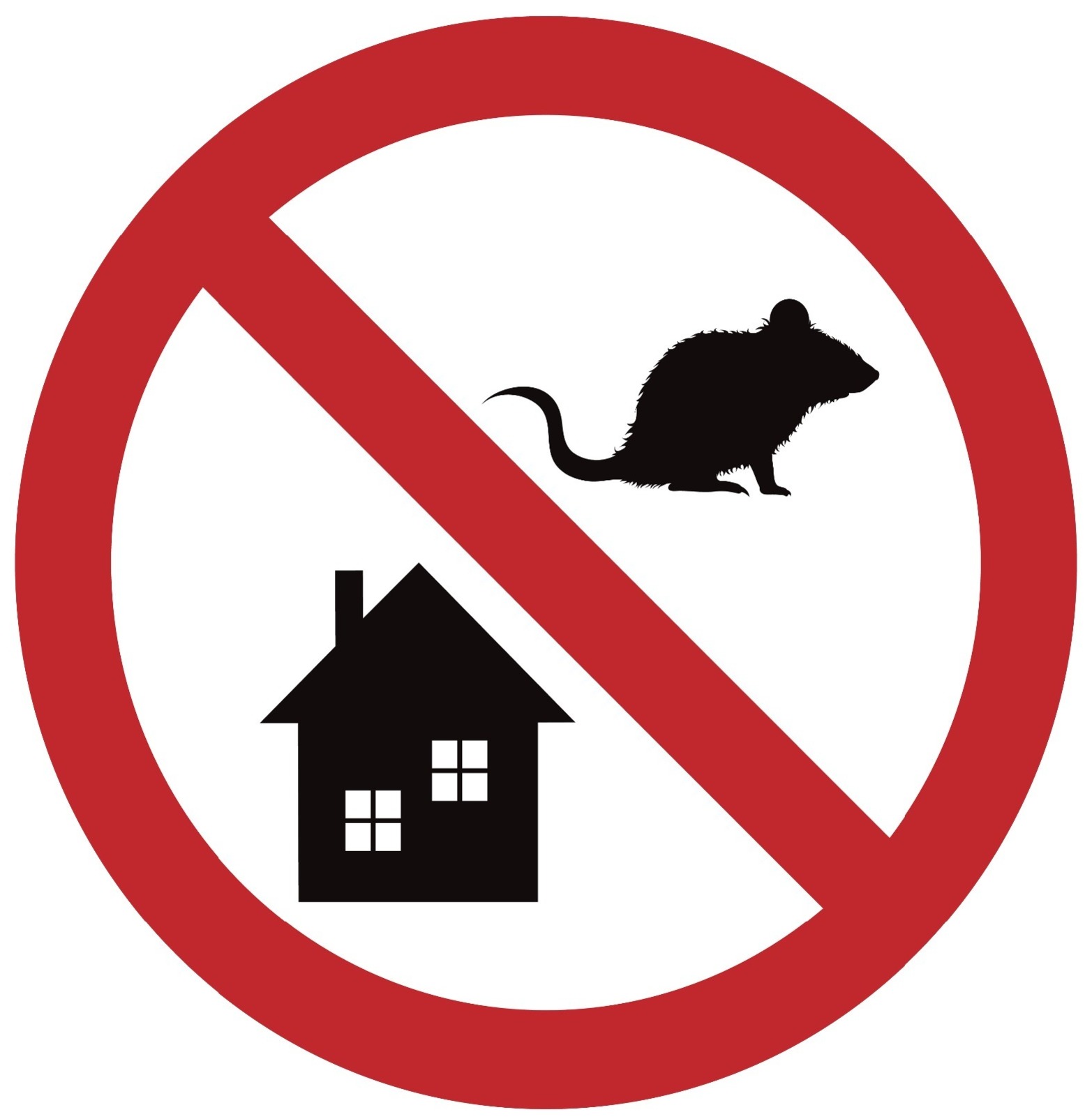 No rats