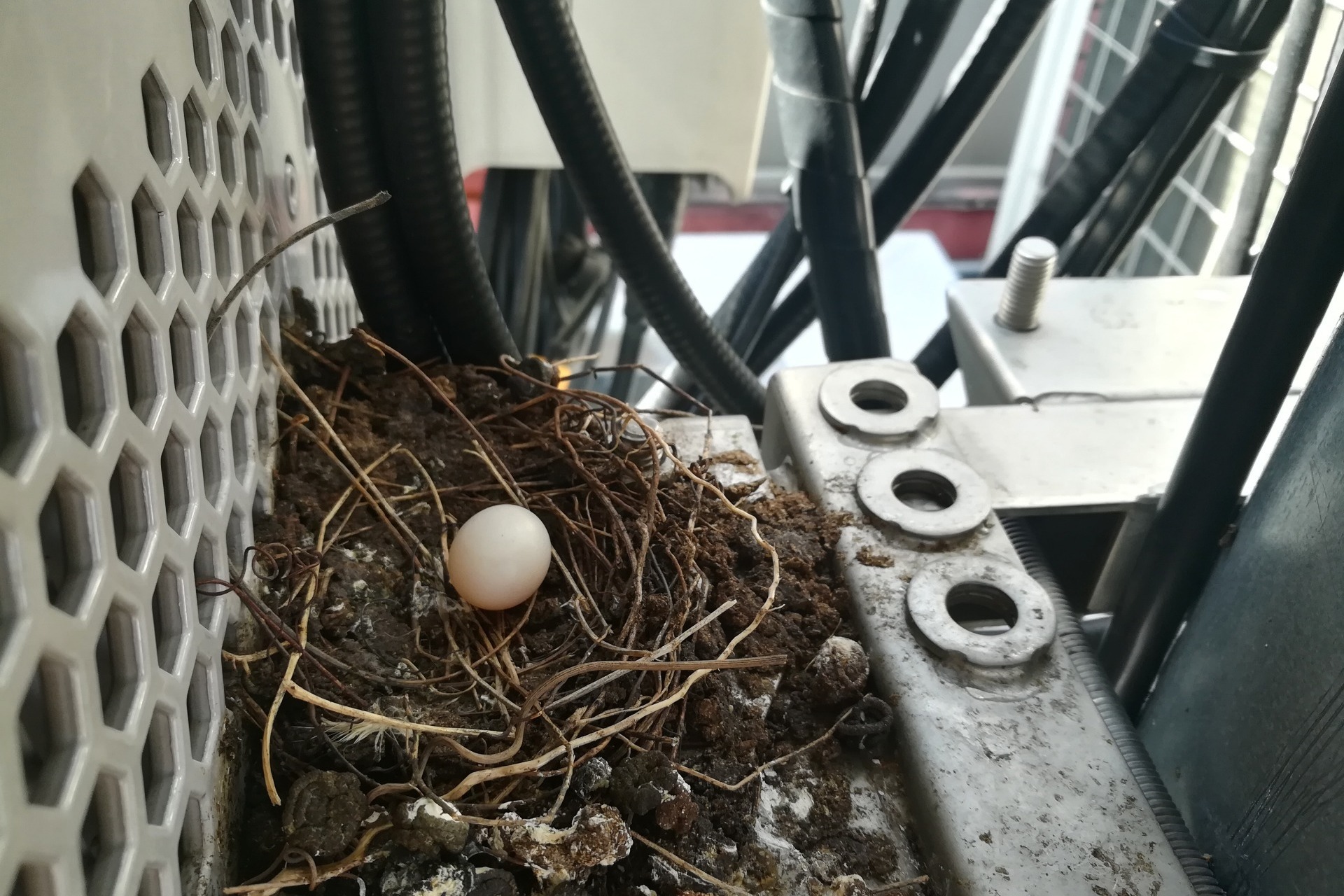 nest in an a/c unit