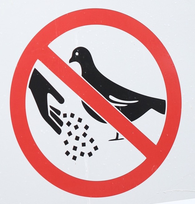 No feeding the birds